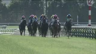 20200524 Yushun Himba Japanese Oaks  Daring Tact [upl. by Guglielma383]