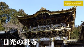 旅するように学ぶ世界遺産『日光の社寺』 [upl. by Shoemaker]