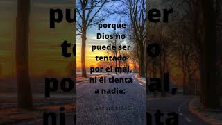 Lucha por esa corona eterna que el padre Jesucristo te brinda en su infinita misericordia Amén 🙏 [upl. by Honna]