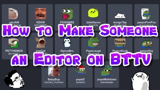 How to Make Someone an Editor on BTTV  StreamerModerator [upl. by Rett63]