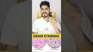 gram staining in Hindi laboratory microbiology [upl. by Salome]