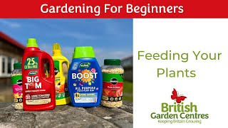 Feeding Your Plants  Gardening for Beginners [upl. by Norrie]