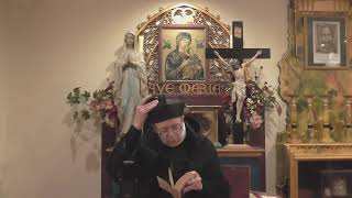 Transalpine Redemptorists Live Stream [upl. by Bevan453]