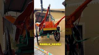 Aj Hum Gyye Rangla Punjab Haveli 😍🏰  vlog 44100  shorts shortsviral punjabi minivlog [upl. by Adnale]