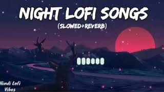 Night 🌉Lofi💕Songs 🎶SlowedReverb [upl. by Schonthal371]