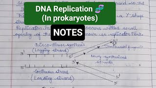 DNA Replication in Prokaryotes  molecular biology  genetics notes priyathakur [upl. by Naenej]