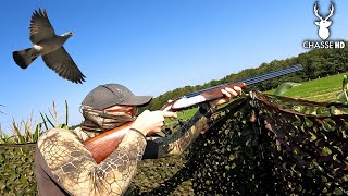 OUVERTURE DE LA CHASSE EN COUPLE  PIGEONS AU POSTE [upl. by Ssegrub]