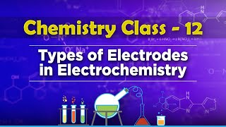 Types of Electrodes in Electrochemistry  Electrochemistry  Chemistry Class 12 [upl. by Madel866]