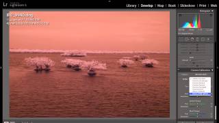 Creating An Adobe Camera RAW Infrared White Balance Profile [upl. by Zeb894]