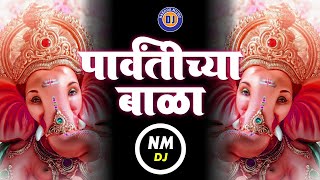 पार्वतीच्या बाळा  Parvatichya Bala  Ganpati Dj Song 2021  Ganesha Dj Song Marathi  गणपतीची गाणी [upl. by Eejan]