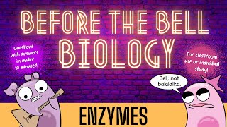 Enzymes Before the Bell Biology [upl. by Kuhlman612]