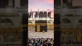 Rab Mujh Ko Bulayega Main Kabe Ko Dekhunga❤️  Naat Status Naat youtubeshort shortvideo [upl. by Llerref]