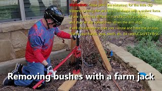 Removing bushes with a farm jack [upl. by Swanson]