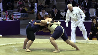 2013421日 第１回国際女子相撲選抜堺大会 大阪府堺市 [upl. by Keegan]