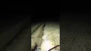 New Holland TC 56 Gece Tarla Biçimi 🚜🚜 Biçerdöver [upl. by Solracsiul987]