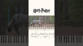 Harry Potter  Buckbeak‘s Flight Piano Tutorial  Sheet Music [upl. by Hermes]