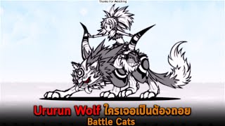 Ururun Wolf ใครเจอเป็นต้องถอย Battle Cats [upl. by Nylime71]