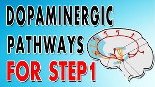 Dopaminergic Pathways [upl. by Ellehcan745]