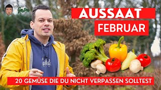 Aussaat Februar  20 Gemüse die du nicht verpassen solltest [upl. by Germain330]