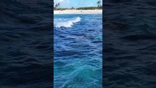 dronevideo djimini4prodji viralshorts puertoricotravel discoverpuertorico isladelencanto [upl. by Hessler]