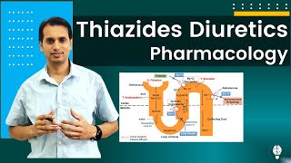 Diuretic Drugs Pharmacology Part 2  Pharmacology of Thiazides Diuretics  Thiazides Diuretics [upl. by Nadabus]