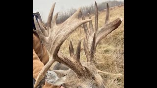 THE PERFECT SCORE deer antlers scoring canada usa [upl. by Atsilac888]