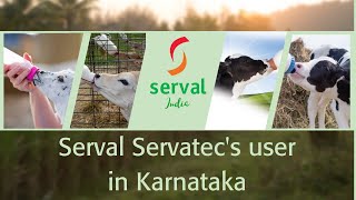 Servatec  Milk Replacer for rearing calves in Karnataka [upl. by Elocin]