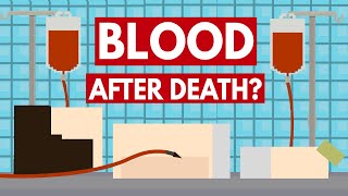 Can You Give Blood After Death  Dear Blocko 1 [upl. by Mad550]