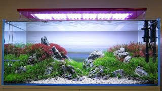 Aquaflora 120cm 360L  Interzoo 2018 [upl. by Itoyj986]