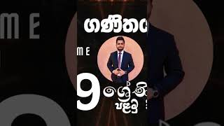 Grade 9 Maths 1st Term Test Papers Sinhala Medium Discussion [upl. by Ellened]