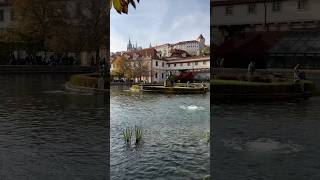 Wallenstein Garden I Prague Czech Republic 🇨🇿 I 2024 short europe travel prague [upl. by Lamraj]