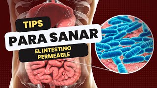 Tips Para Sanar El Intestino Permeable De Forma Definitiva [upl. by Hali]