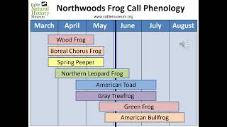 Northwoods Frog Call Phenology [upl. by Panchito291]