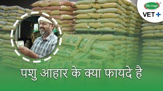 पशु आहार के क्या फायदे है  Benefits of Cattle Feed  Heritage Vet Hindiहिंदी [upl. by Luise]