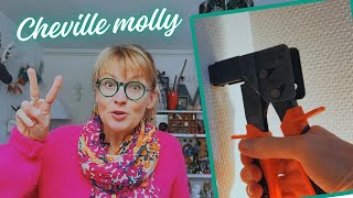 Comment mettre et enlever une cheville molly [upl. by Ereveniug]