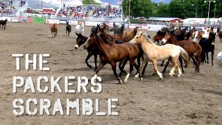 Mule Days The Packers Scramble [upl. by Ocko419]