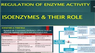 Regulation of Enzyme activityIsoenzyme and their rolesGlucokinase and hexokinase differences [upl. by Arimahs753]