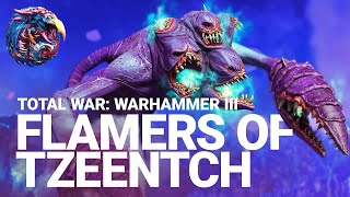 IMMOLATION INITIATIVE  A PERFECT Flamers of Tzeentch Strategy  Total War Warhammer 3 [upl. by Elison919]