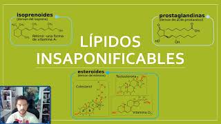 Todo lo que necesitas saber sobre lípidos insaponificables Vídeo6lípidos Biología 2º Bachillerato [upl. by Godred]