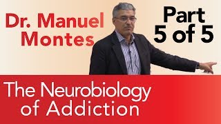 Dr Montes Neurobiology of Addiction Part 5 of 5  The Treatment Center [upl. by Aubarta]