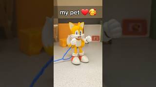 Pet 🥰🥰 tails animation meme funny [upl. by Adara]