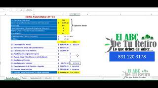 Tabla Excel Calculadora de Pension 2022 [upl. by Atteuqihc736]