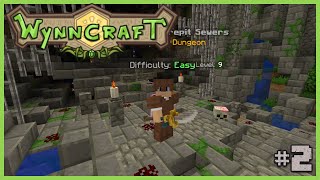 Wyncraft MMORPG Server Dungeon time [upl. by Alecram]