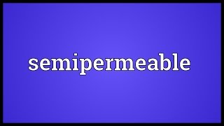 Semipermeable Meaning [upl. by Bevus]