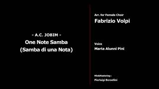 ONE NOTE SAMBA Antonio C Jobim  arr Fabrizio Volpi [upl. by Laverne]