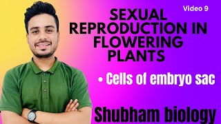 sexual reproduction in flowering plants Cells of embryo sacneet viral ncert bio medical life [upl. by Heise]