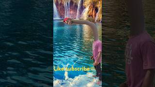 RemixArtificial water😱😲 transport to rescue drought specialeffect drought fun bhojpurifunnyvideo [upl. by Anaitsirk]