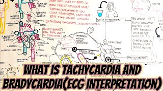 TachycardiaBradycardiaECG InterpretationCardiology umerfarooqbiology7083 [upl. by Yesrej]