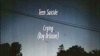 Teen Suicide  Crying Roy Orbison  Lyrics  Traducción [upl. by Bayly]