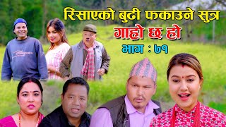 रिसाएको बुढी फकाउने सुत्र II Garo Chha Ho II Epi 71 II Nov 8 2021 II Begam Nepali II Riyasha Dahal [upl. by Tarttan764]